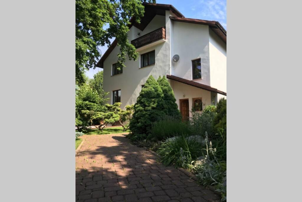 克拉科夫Hidden Gem Garden公寓 外观 照片
