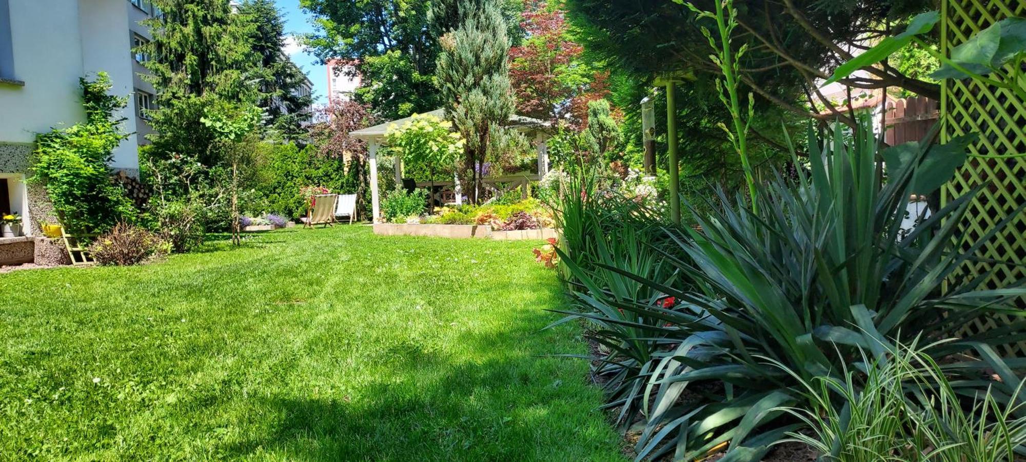 克拉科夫Hidden Gem Garden公寓 外观 照片
